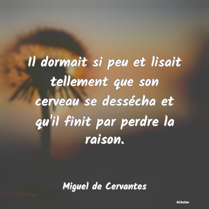 image de citation: Il dormait si peu et lisait tellement que son cerveau se dessécha et qu'il finit par perdre la raison.