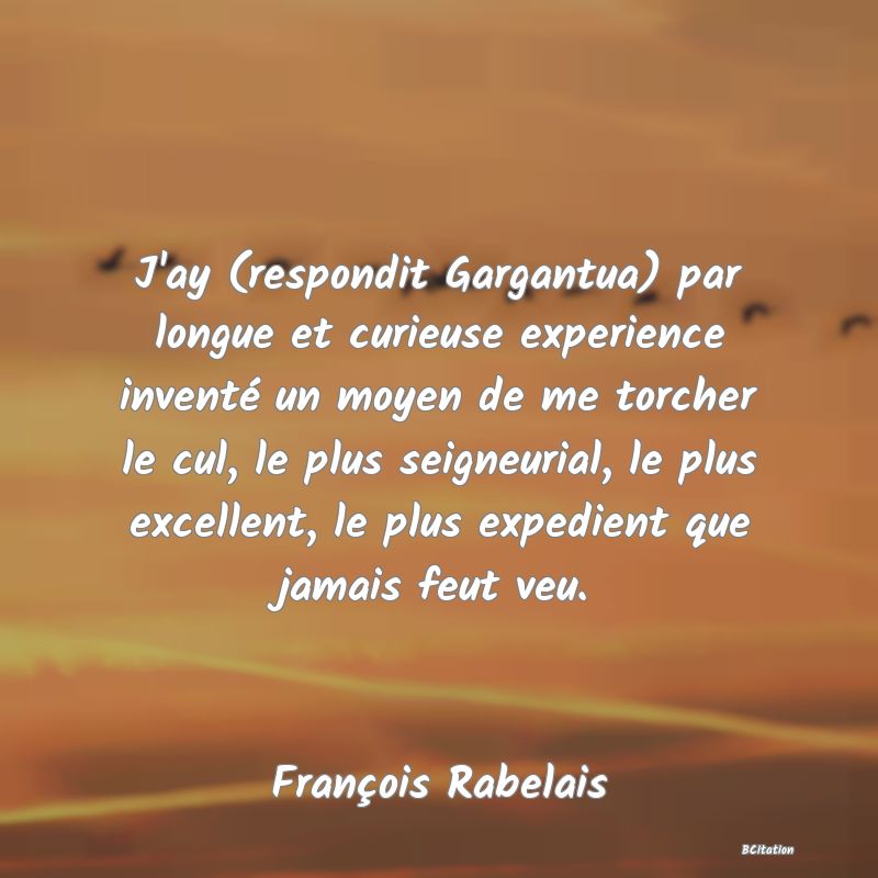 image de citation: J'ay (respondit Gargantua) par longue et curieuse experience inventé un moyen de me torcher le cul, le plus seigneurial, le plus excellent, le plus expedient que jamais feut veu.