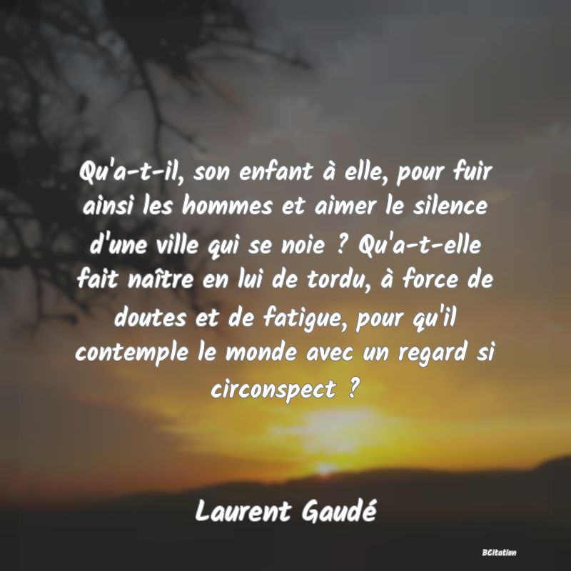 image de citation: Qu'a-t-il, son enfant à elle, pour fuir ainsi les hommes et aimer le silence d'une ville qui se noie ? Qu'a-t-elle fait naître en lui de tordu, à force de doutes et de fatigue, pour qu'il contemple le monde avec un regard si circonspect ?