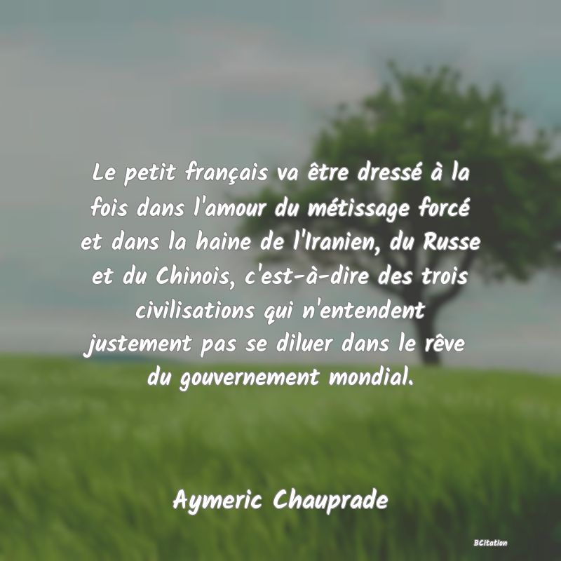 image de citation: Le petit français va être dressé à la fois dans l'amour du métissage forcé et dans la haine de l'Iranien, du Russe et du Chinois, c'est-à-dire des trois civilisations qui n'entendent justement pas se diluer dans le rêve du gouvernement mondial.