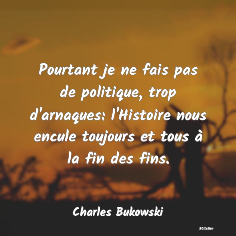 image de citation: Pourtant je ne fais pas de politique, trop d'arnaques: l'Histoire nous encule toujours et tous à la fin des fins.