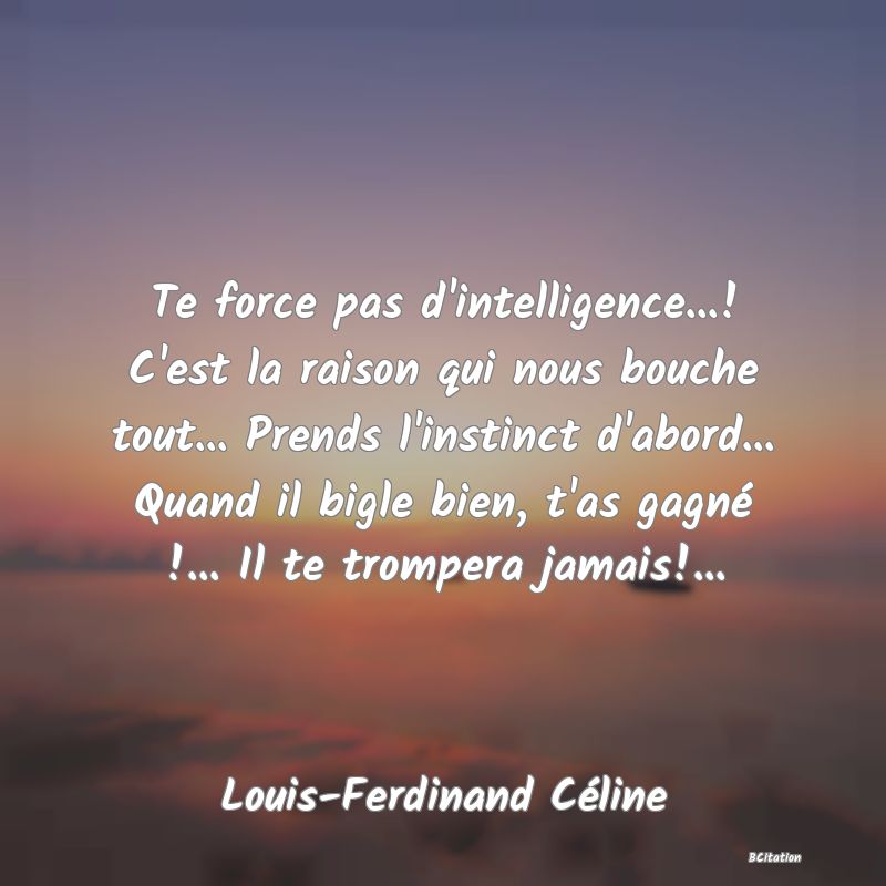 image de citation: Te force pas d'intelligence...! C'est la raison qui nous bouche tout... Prends l'instinct d'abord... Quand il bigle bien, t'as gagné !... Il te trompera jamais!...