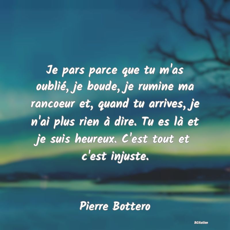 Belle Citation - Je pars parce que tu m'as oublié, je boude, je rumine ma rancoeur et, quand tu arrives, je n'ai plus rien à dire. Tu es là et je suis heureux. C'est tout et c'est injuste. - Pierre Bottero