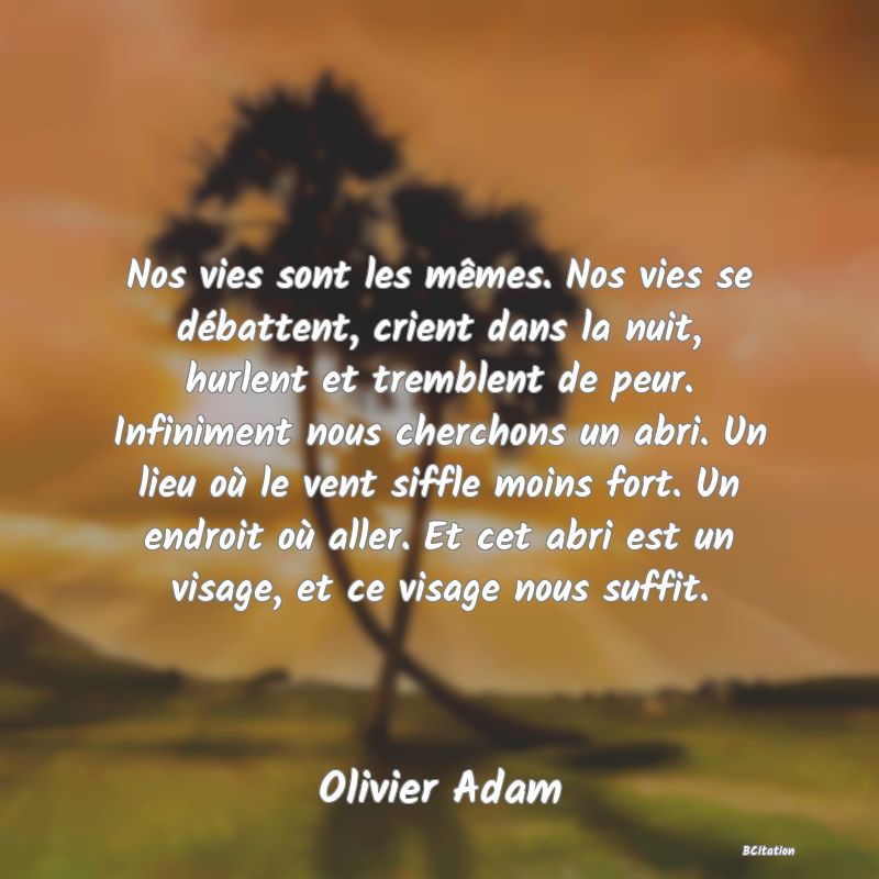 image de citation: Nos vies sont les mêmes. Nos vies se débattent, crient dans la nuit, hurlent et tremblent de peur. Infiniment nous cherchons un abri. Un lieu où le vent siffle moins fort. Un endroit où aller. Et cet abri est un visage, et ce visage nous suffit.