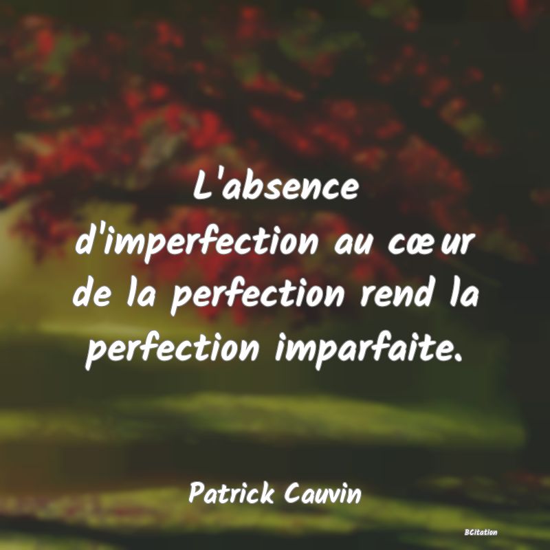 image de citation: L'absence d'imperfection au cœur de la perfection rend la perfection imparfaite.