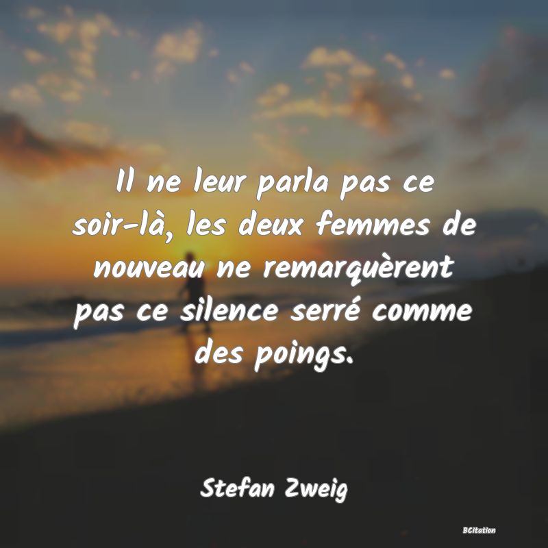 image de citation: Il ne leur parla pas ce soir-là, les deux femmes de nouveau ne remarquèrent pas ce silence serré comme des poings.