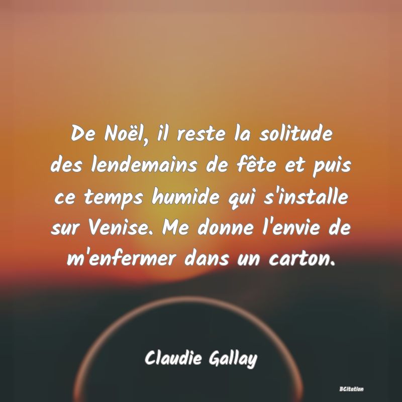 image de citation: De Noël, il reste la solitude des lendemains de fête et puis ce temps humide qui s'installe sur Venise. Me donne l'envie de m'enfermer dans un carton.