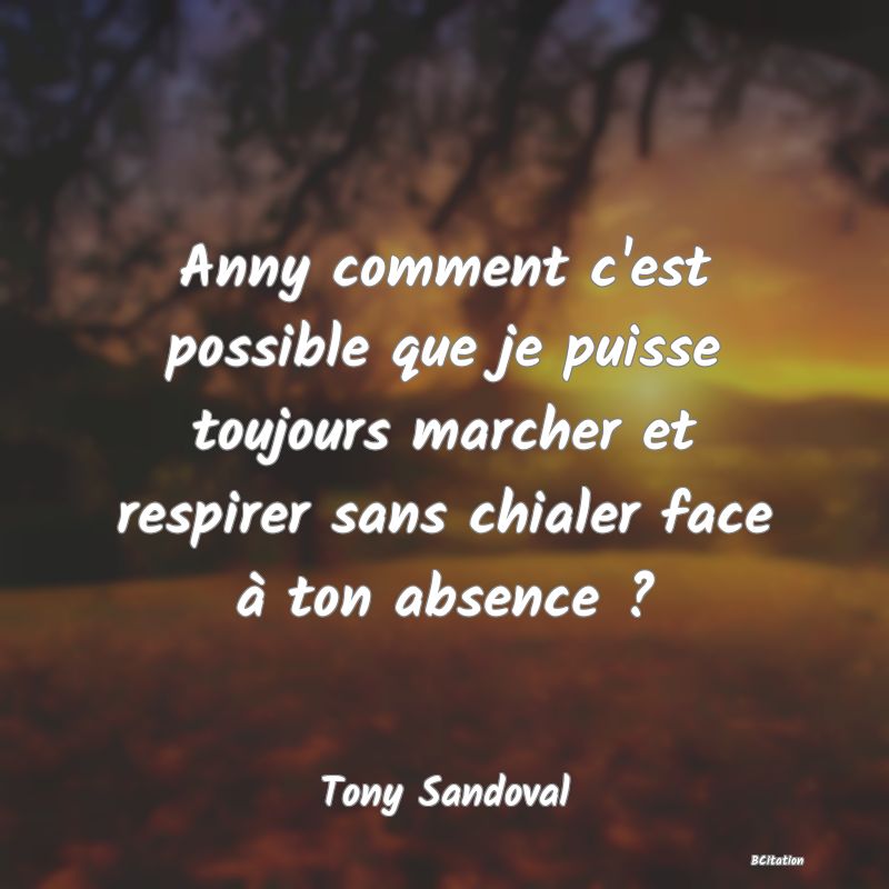 Belle Citation - Anny comment c'est possible que je puisse toujours marcher et respirer sans chialer face à ton absence ? - Tony Sandoval