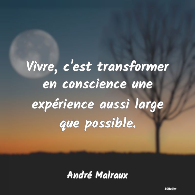 image de citation: Vivre, c'est transformer en conscience une expérience aussi large que possible.