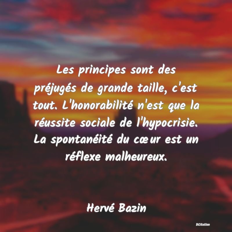 image de citation: Les principes sont des préjugés de grande taille, c'est tout. L'honorabilité n'est que la réussite sociale de l'hypocrisie. La spontanéité du cœur est un réflexe malheureux.