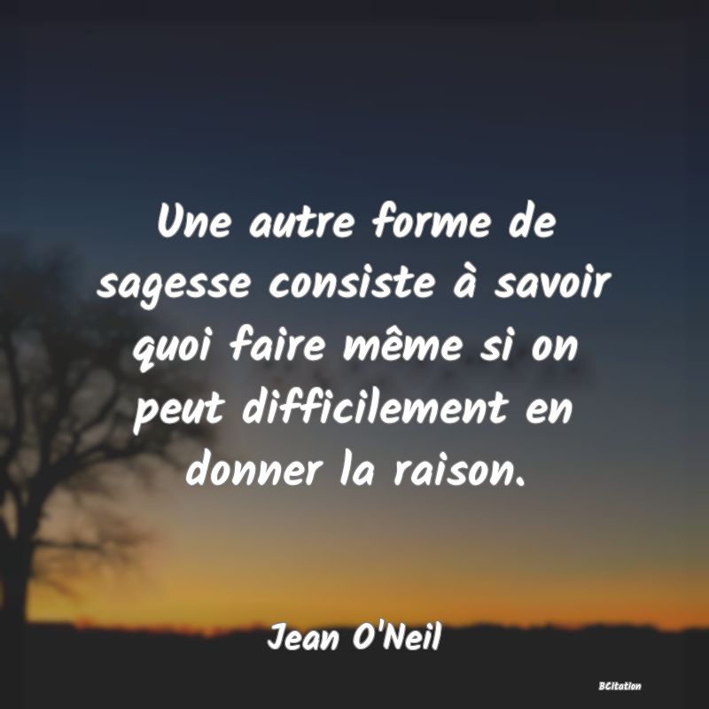 image de citation: Une autre forme de sagesse consiste à savoir quoi faire même si on peut difficilement en donner la raison.