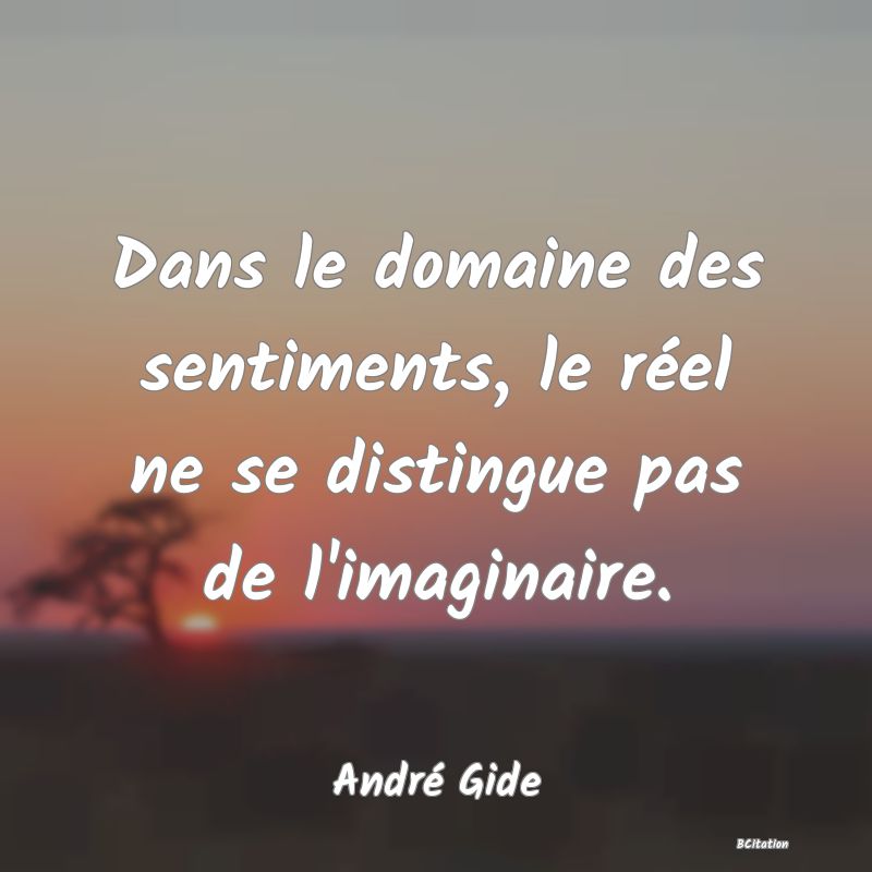 image de citation: Dans le domaine des sentiments, le réel ne se distingue pas de l'imaginaire.