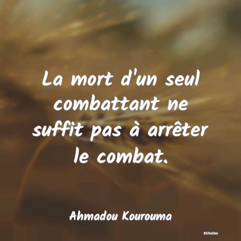 Belle Citation - La mort d'un seul combattant ne suffit pas à arrêter le combat. - Ahmadou Kourouma