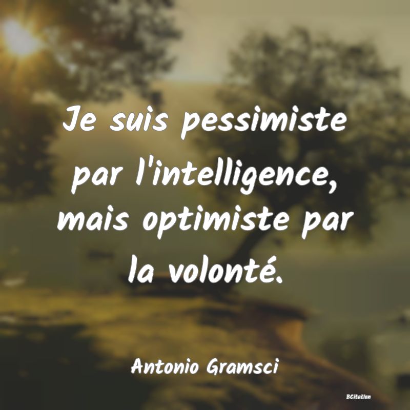 image de citation: Je suis pessimiste par l'intelligence, mais optimiste par la volonté.