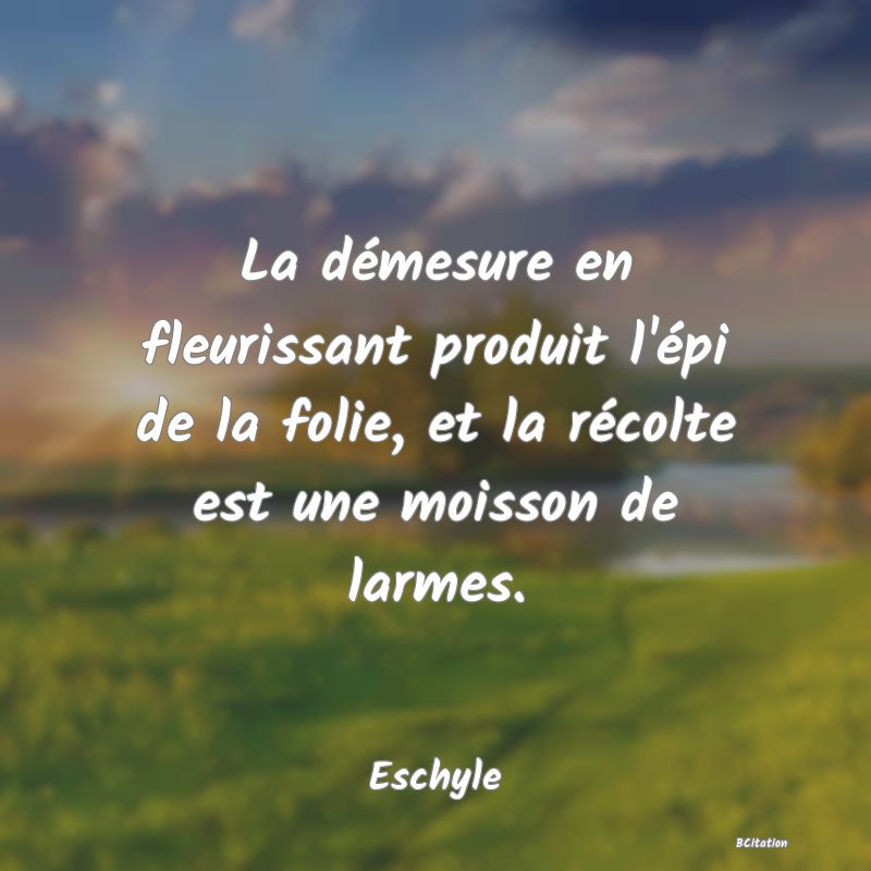 image de citation: La démesure en fleurissant produit l'épi de la folie, et la récolte est une moisson de larmes.