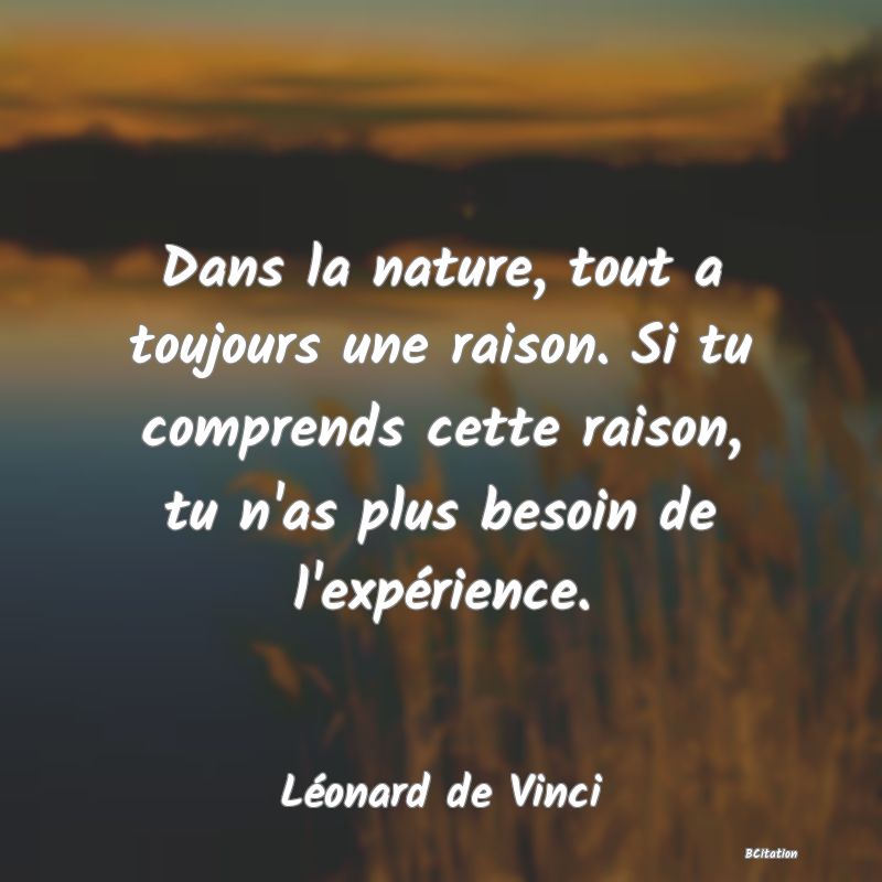 image de citation: Dans la nature, tout a toujours une raison. Si tu comprends cette raison, tu n'as plus besoin de l'expérience.