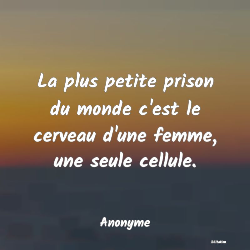 image de citation: La plus petite prison du monde c'est le cerveau d'une femme, une seule cellule.