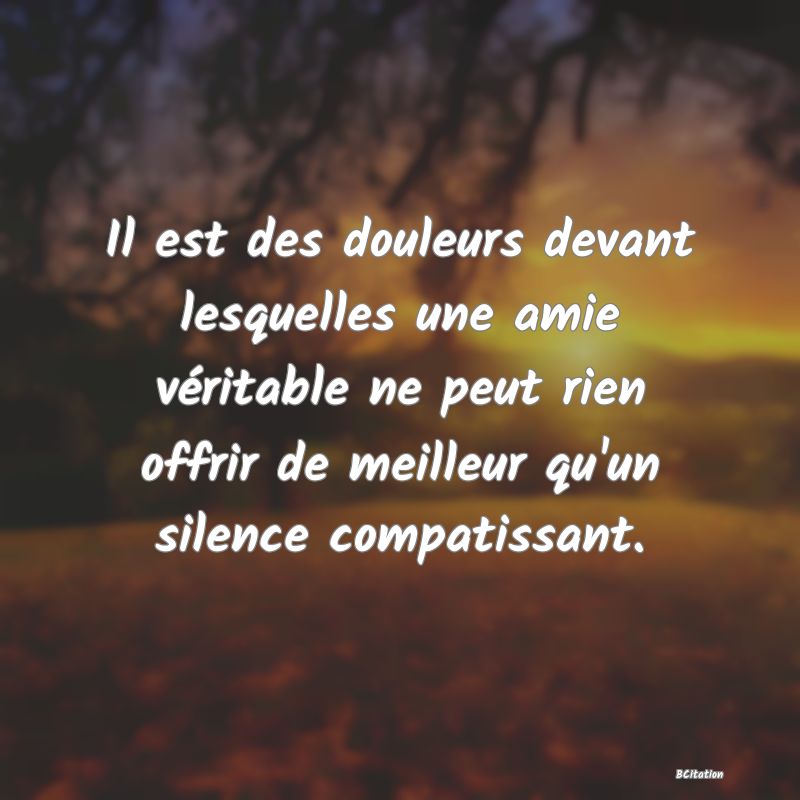 image de citation: Il est des douleurs devant lesquelles une amie véritable ne peut rien offrir de meilleur qu'un silence compatissant.