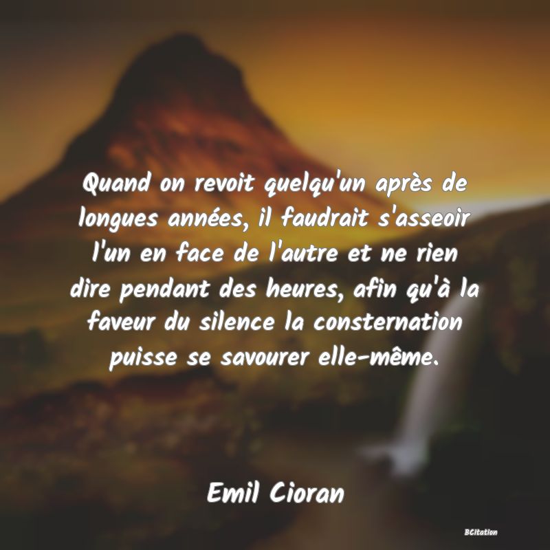 image de citation: Quand on revoit quelqu'un après de longues années, il faudrait s'asseoir l'un en face de l'autre et ne rien dire pendant des heures, afin qu'à la faveur du silence la consternation puisse se savourer elle-même.