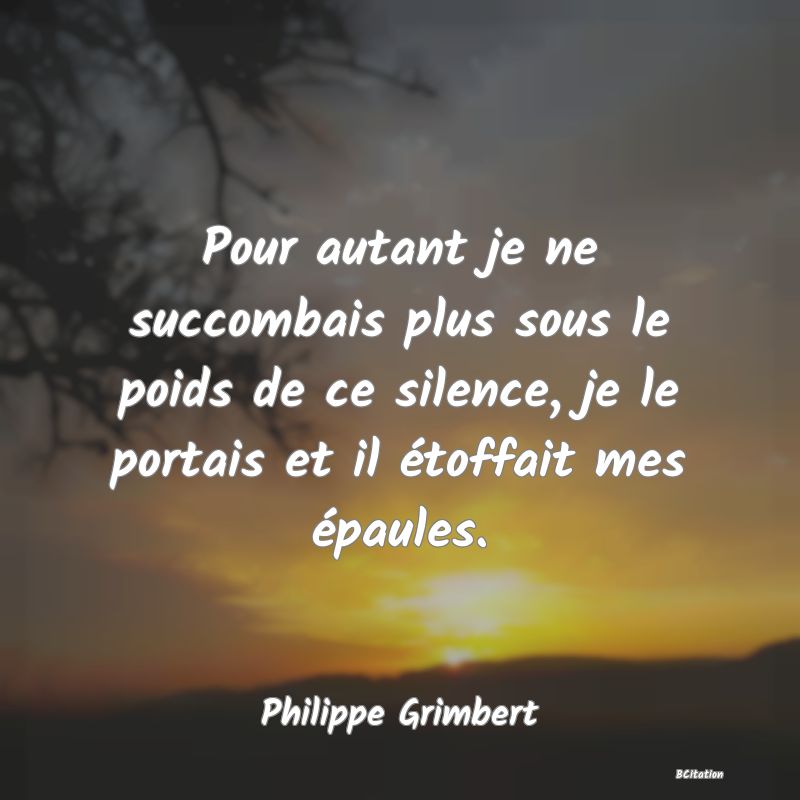 image de citation: Pour autant je ne succombais plus sous le poids de ce silence, je le portais et il étoffait mes épaules.