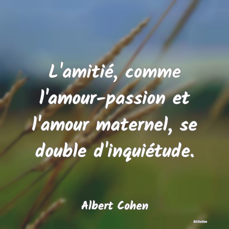 image de citation: L'amitié, comme l'amour-passion et l'amour maternel, se double d'inquiétude.