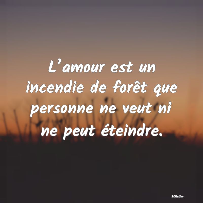 image de citation: L’amour est un incendie de forêt que personne ne veut ni ne peut éteindre.