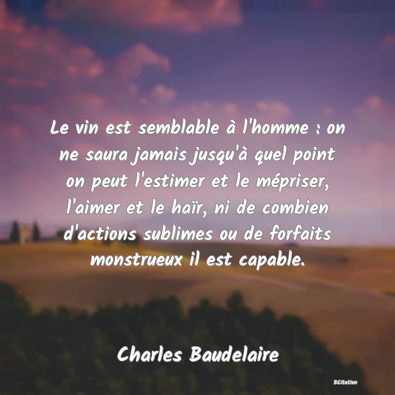 image de citation: Le vin est semblable à l'homme : on ne saura jamais jusqu'à quel point on peut l'estimer et le mépriser, l'aimer et le haïr, ni de combien d'actions sublimes ou de forfaits monstrueux il est capable.