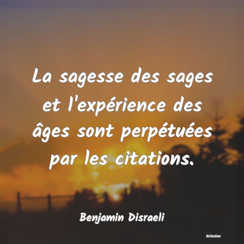 image de citation: La sagesse des sages et l'expérience des âges sont perpétuées par les citations.