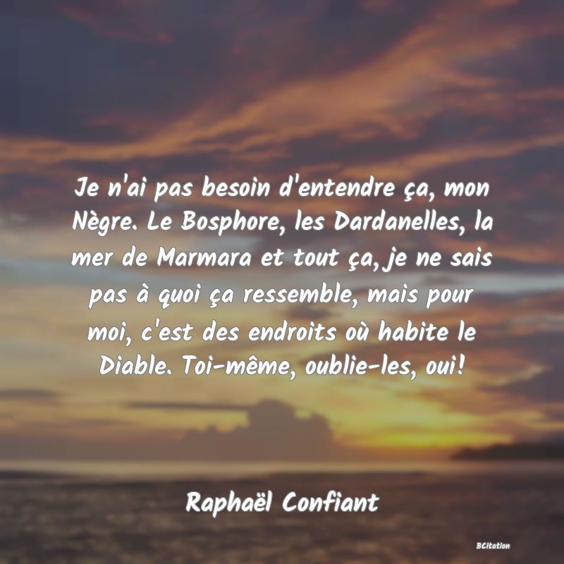 image de citation: Je n'ai pas besoin d'entendre ça, mon Nègre. Le Bosphore, les Dardanelles, la mer de Marmara et tout ça, je ne sais pas à quoi ça ressemble, mais pour moi, c'est des endroits où habite le Diable. Toi-même, oublie-les, oui!