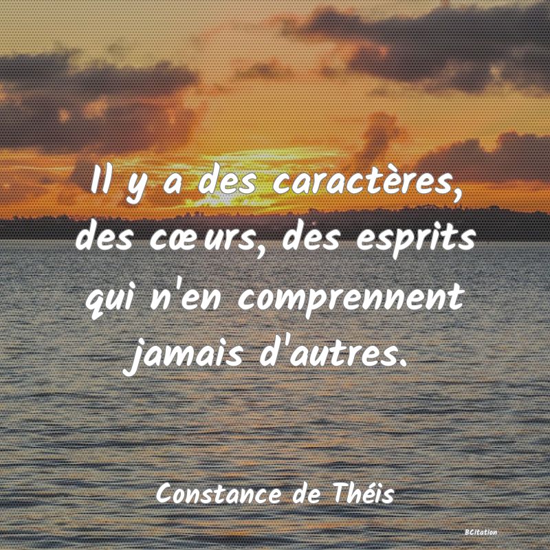 image de citation: Il y a des caractères, des cœurs, des esprits qui n'en comprennent jamais d'autres.