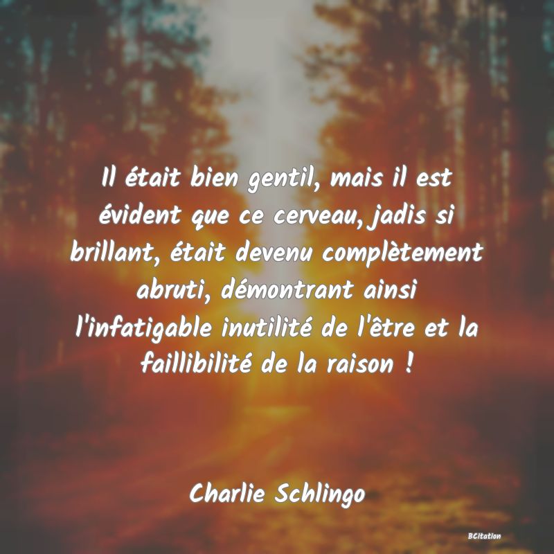 image de citation: Il était bien gentil, mais il est évident que ce cerveau, jadis si brillant, était devenu complètement abruti, démontrant ainsi l'infatigable inutilité de l'être et la faillibilité de la raison !