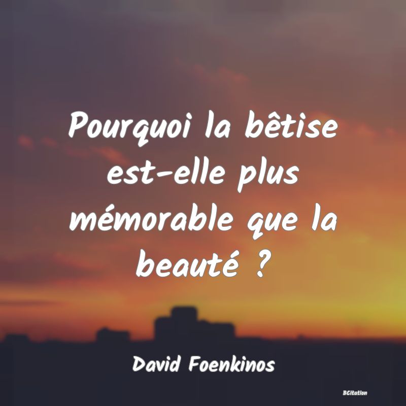 image de citation: Pourquoi la bêtise est-elle plus mémorable que la beauté ?