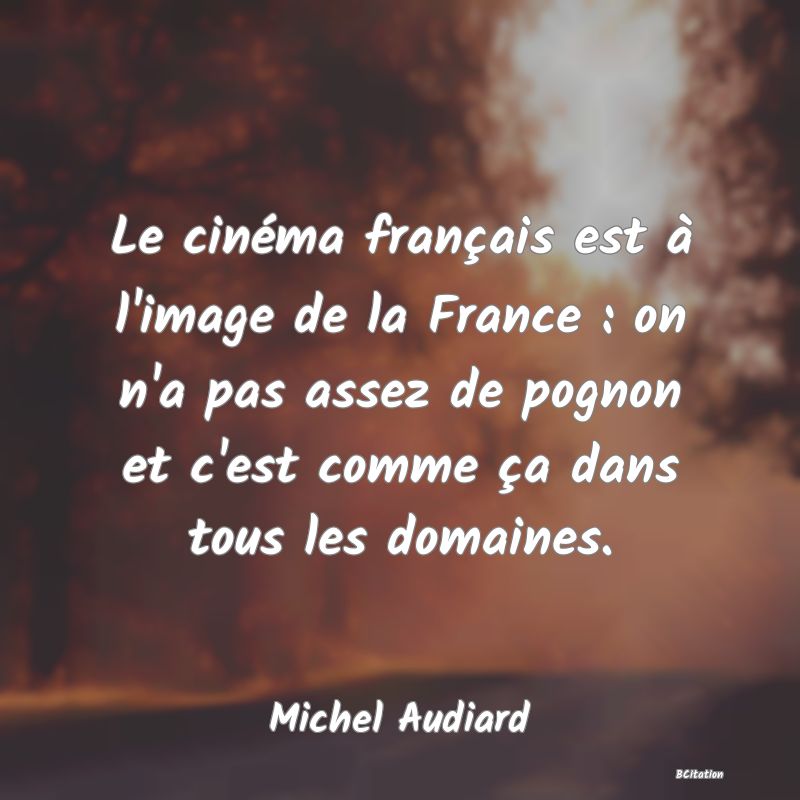 image de citation: Le cinéma français est à l'image de la France : on n'a pas assez de pognon et c'est comme ça dans tous les domaines.