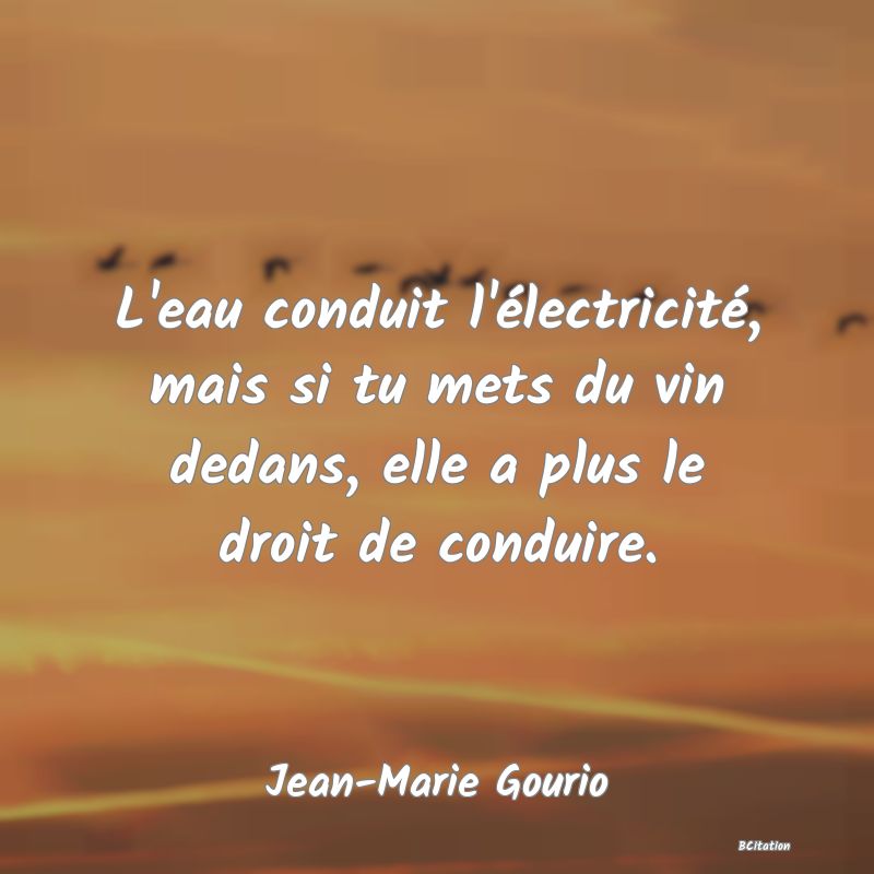 Belle Citation - L'eau conduit l'électricité, mais si tu mets du vin dedans, elle a plus le droit de conduire. - Jean-Marie Gourio