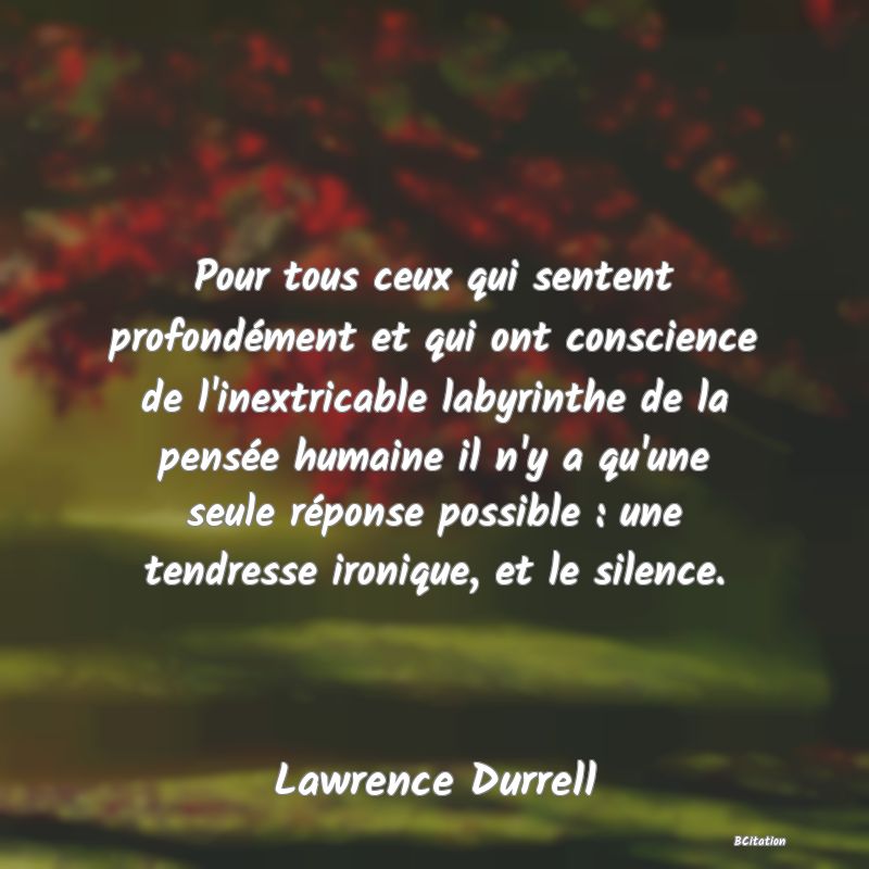 image de citation: Pour tous ceux qui sentent profondément et qui ont conscience de l'inextricable labyrinthe de la pensée humaine il n'y a qu'une seule réponse possible : une tendresse ironique, et le silence.