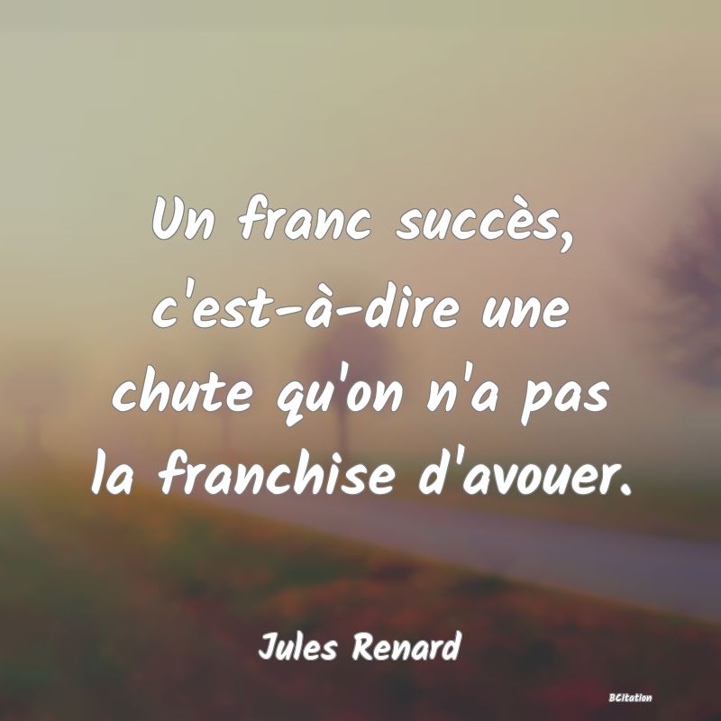 image de citation: Un franc succès, c'est-à-dire une chute qu'on n'a pas la franchise d'avouer.