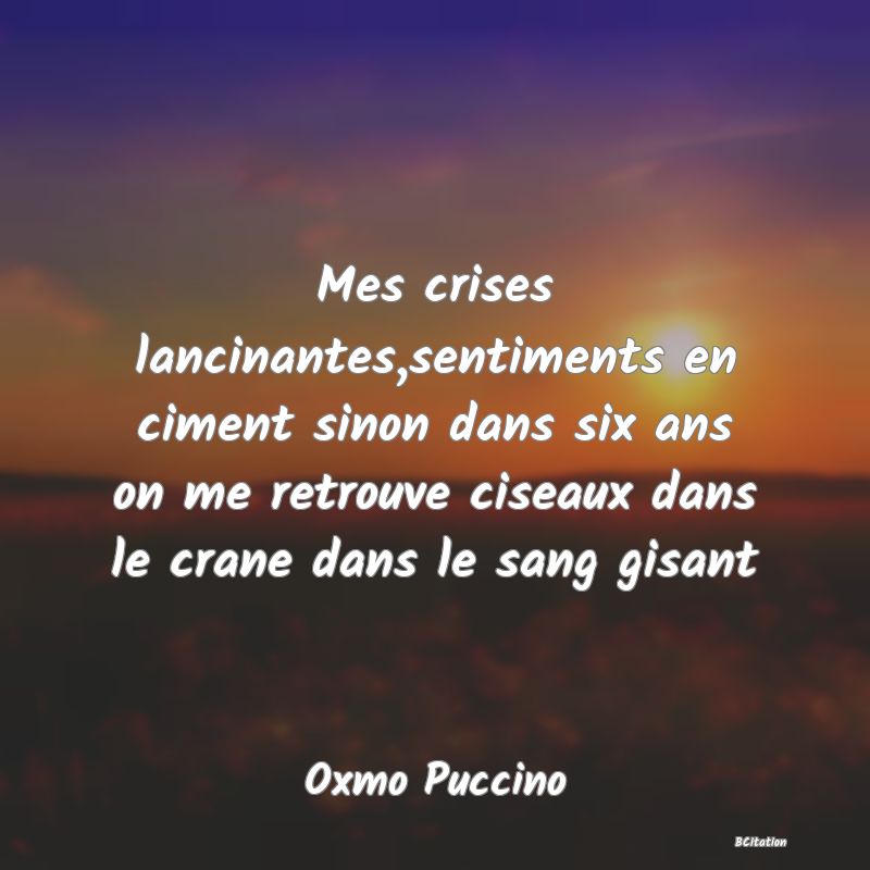 image de citation: Mes crises lancinantes,sentiments en ciment sinon dans six ans on me retrouve ciseaux dans le crane dans le sang gisant