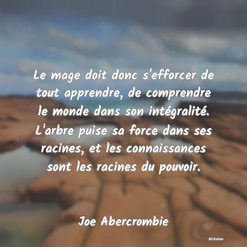 image de citation: Le mage doit donc s'efforcer de tout apprendre, de comprendre le monde dans son intégralité. L'arbre puise sa force dans ses racines, et les connaissances sont les racines du pouvoir.