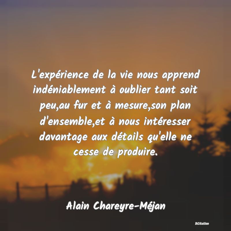 image de citation: L'expérience de la vie nous apprend indéniablement à oublier tant soit peu,au fur et à mesure,son plan d'ensemble,et à nous intéresser davantage aux détails qu'elle ne cesse de produire.