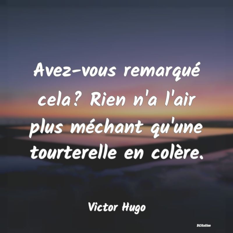 image de citation: Avez-vous remarqué cela? Rien n'a l'air plus méchant qu'une tourterelle en colère.