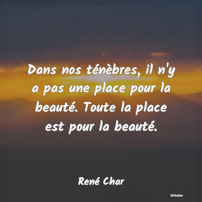 Belle Citation - Dans nos ténèbres, il n'y a pas une place pour la beauté. Toute la place est pour la beauté. - René Char