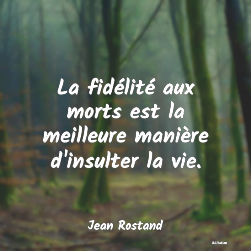 image de citation: La fidélité aux morts est la meilleure manière d'insulter la vie.