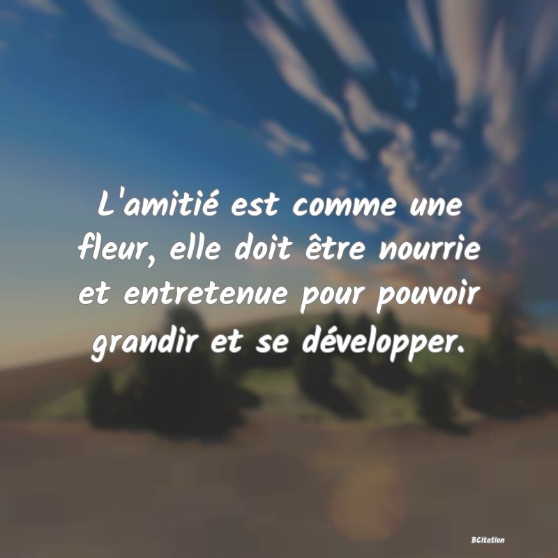 Belle Citation - L'amitié est comme une fleur, elle doit être nourrie et entretenue pour pouvoir grandir et se développer. - 