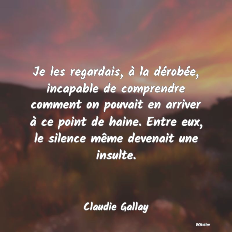 image de citation: Je les regardais, à la dérobée, incapable de comprendre comment on pouvait en arriver à ce point de haine. Entre eux, le silence même devenait une insulte.