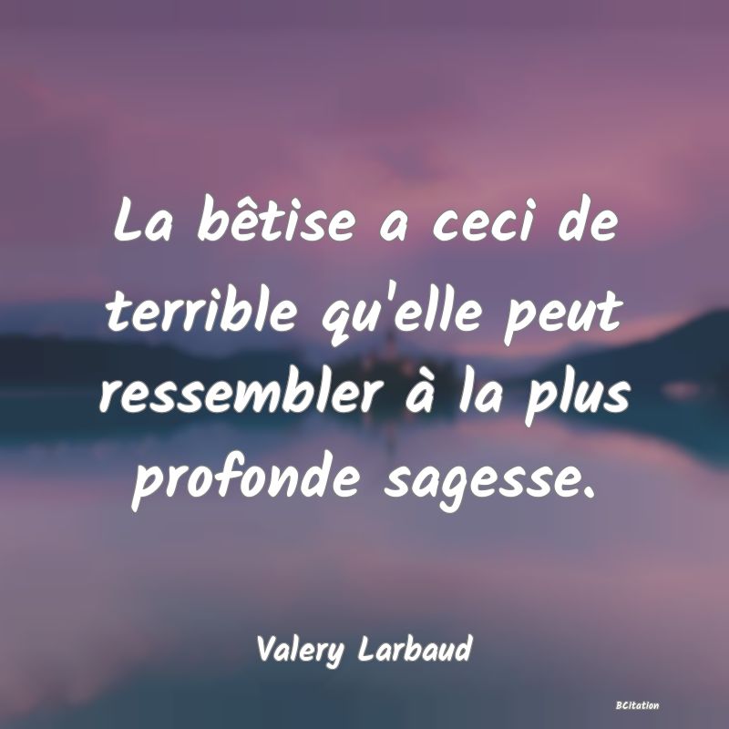 image de citation: La bêtise a ceci de terrible qu'elle peut ressembler à la plus profonde sagesse.