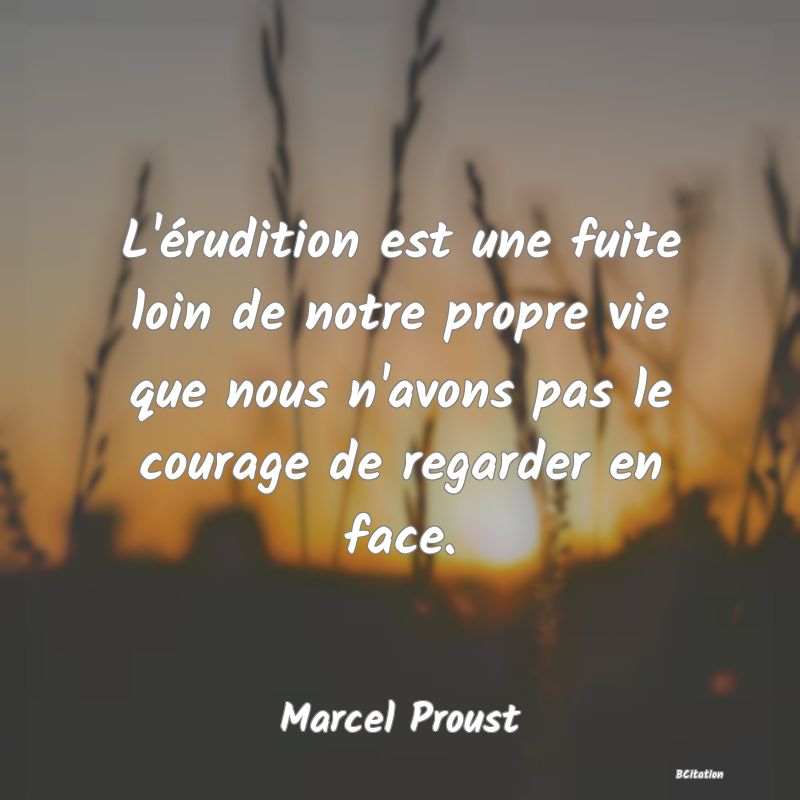 image de citation: L'érudition est une fuite loin de notre propre vie que nous n'avons pas le courage de regarder en face.