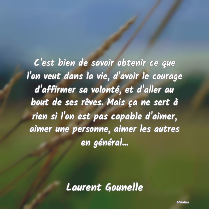 image de citation: C'est bien de savoir obtenir ce que l'on veut dans la vie, d'avoir le courage d'affirmer sa volonté, et d'aller au bout de ses rêves. Mais ça ne sert à rien si l'on est pas capable d'aimer, aimer une personne, aimer les autres en général...