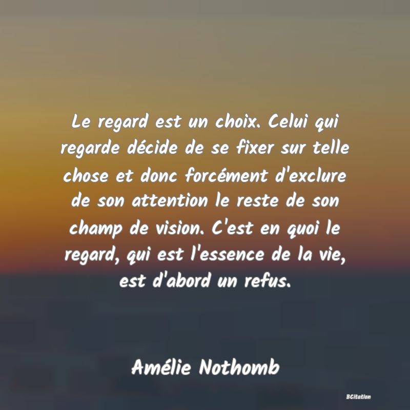 image de citation: Le regard est un choix. Celui qui regarde décide de se fixer sur telle chose et donc forcément d'exclure de son attention le reste de son champ de vision. C'est en quoi le regard, qui est l'essence de la vie, est d'abord un refus.