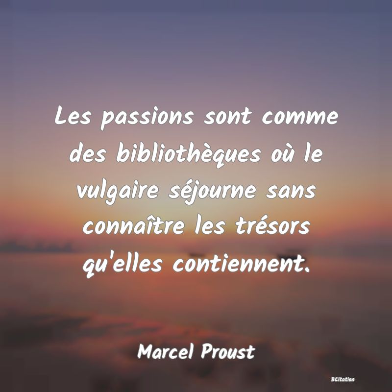 image de citation: Les passions sont comme des bibliothèques où le vulgaire séjourne sans connaître les trésors qu'elles contiennent.