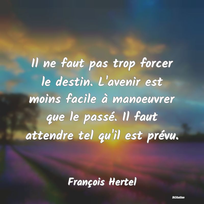 image de citation: Il ne faut pas trop forcer le destin. L'avenir est moins facile à manoeuvrer que le passé. Il faut attendre tel qu'il est prévu.